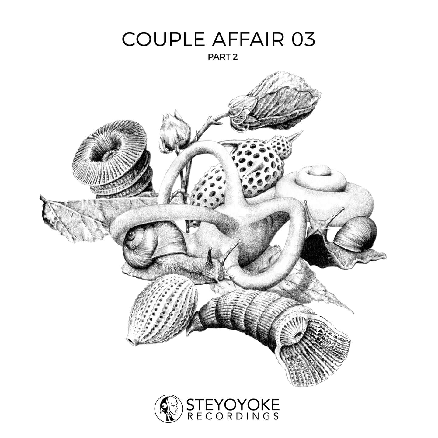 SYYK056 - Steyoyoke Couple Affair 03 Part 2