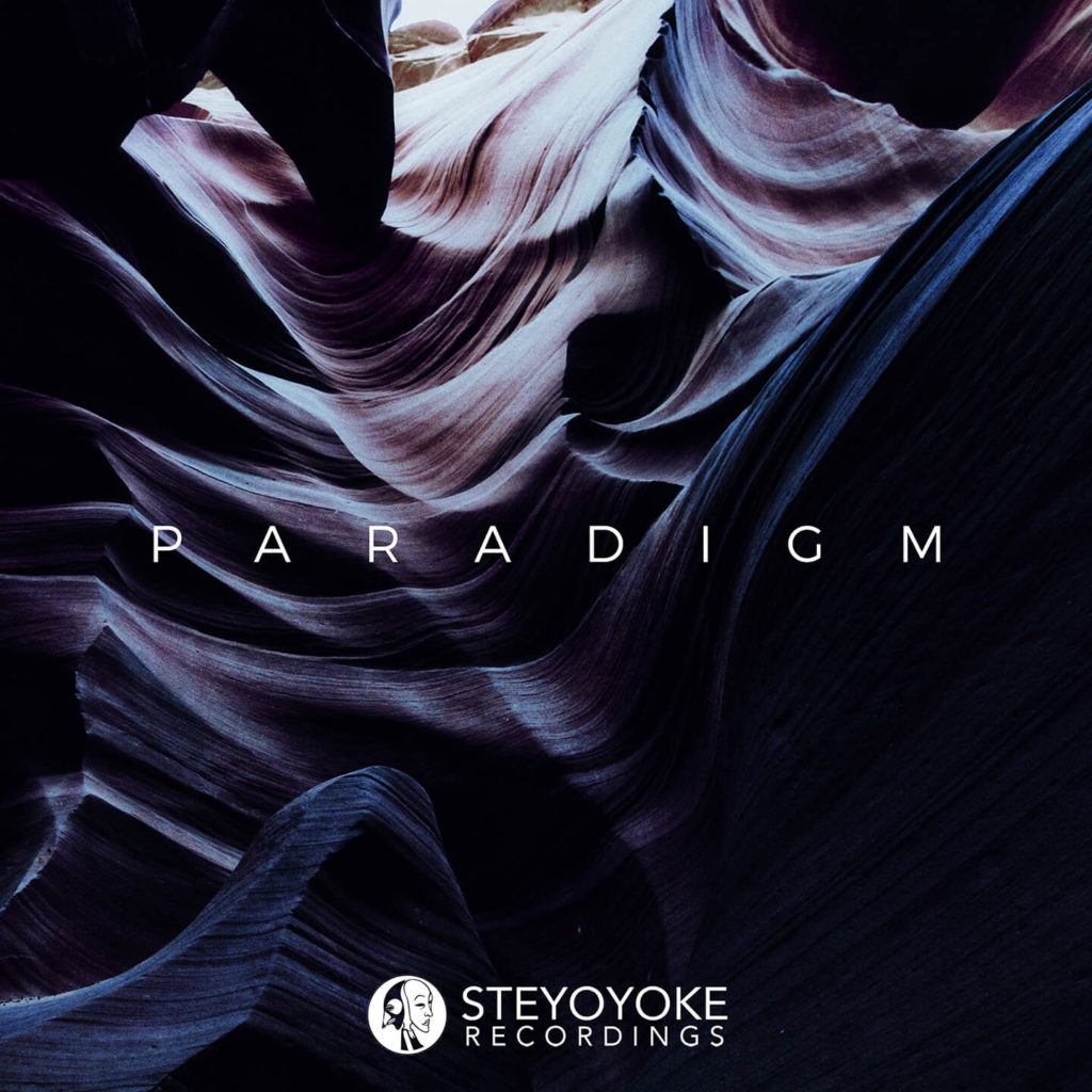 SYYKPARA003_Steyoyoke Paradigm 03