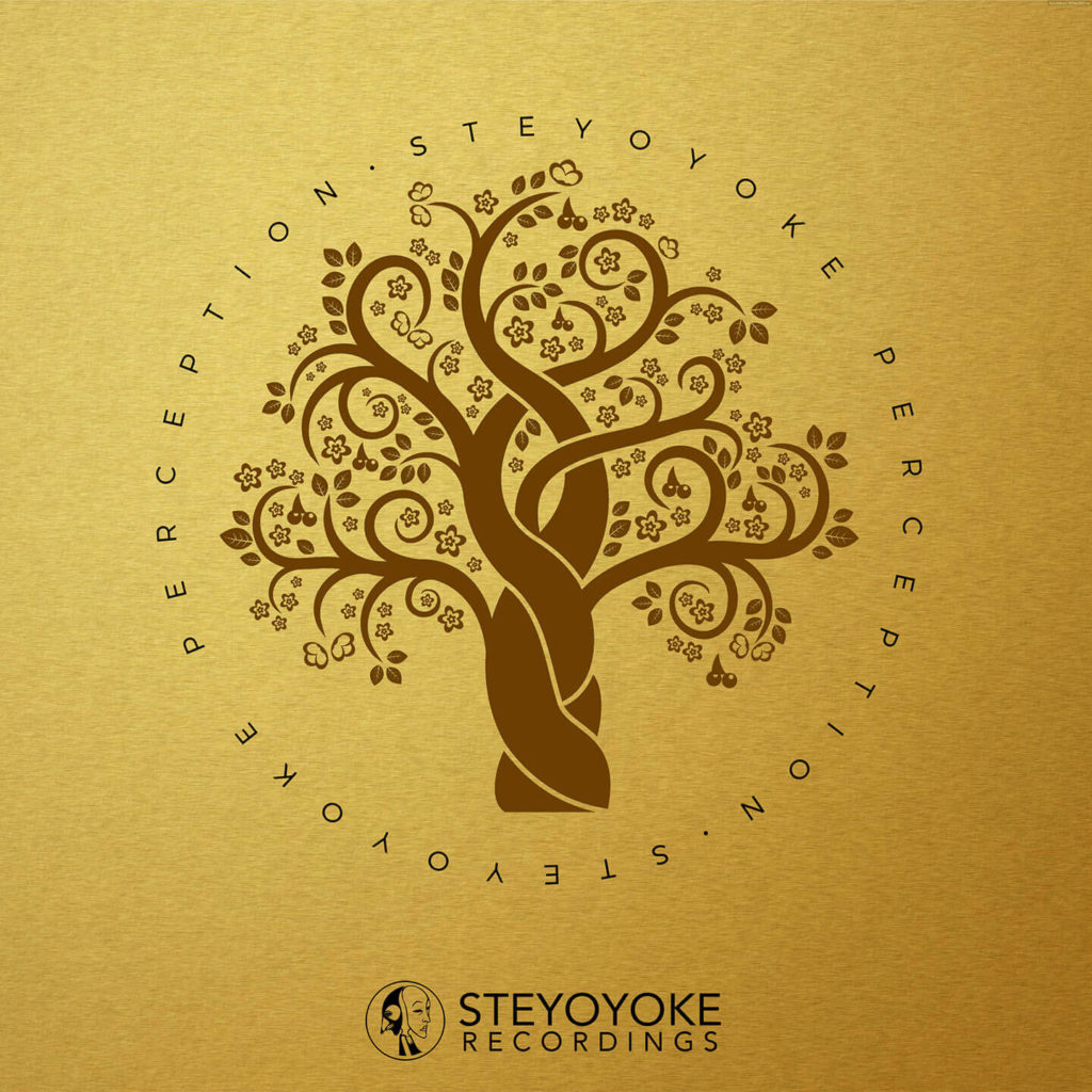 SYYKPERC004_Steyoyoke Perception 04