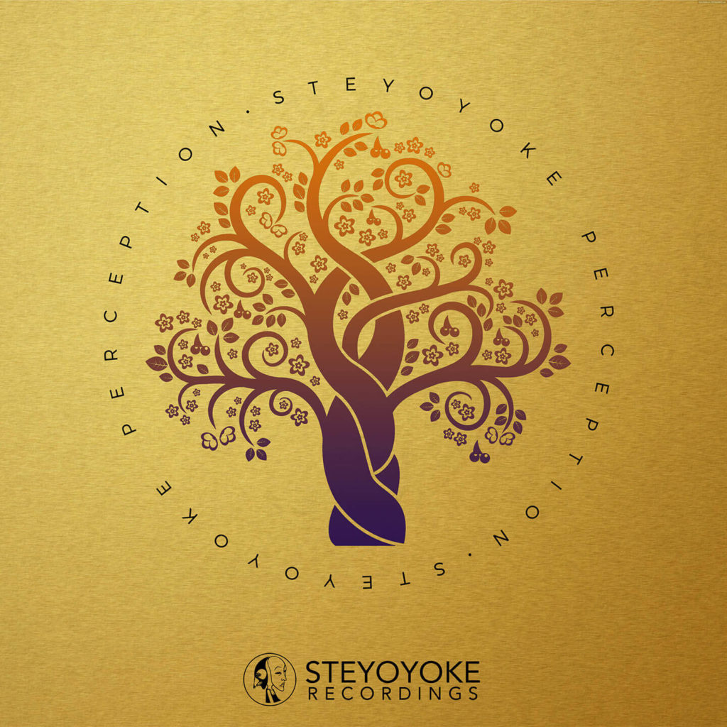SYYKPERC006_Steyoyoke Perception 06